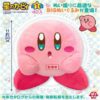 Hungry Kirby of the Stars SK Japan Plush (5)