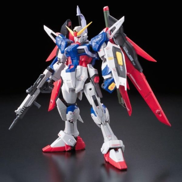 Destiny Gundam Gundam SEED Destiny #11 RG 1144 Scale Model Kit (1)