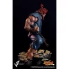 Akuma Street Fighter Battle of the Brothers (Raging Demon) 16 Scale Statue (10)