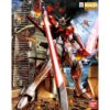 Sword Impulse Gundam Gundam SEED Destiny MG 1100 Scale Model Kit (2)