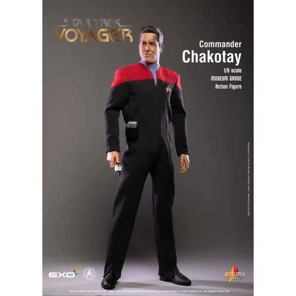 Commander Chakotay Star Trek Voyager 16 Scale Figure (14)