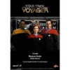 Commander Chakotay Star Trek Voyager 16 Scale Figure (3)