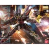 GAT-X207 Blitz Gundam Mobile Suit Gundam SEED Destiny MG 1100 Scale Model Kit (2)