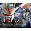 ZGMF-X20A Strike Freedom Gundam Gundam SEED Destiny RG 1144 Scale Model Kit (6)