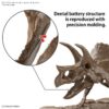 Triceratops Imaginary Skeleton Discovery Plamodel Museum 132 Scale Model Kit (7)