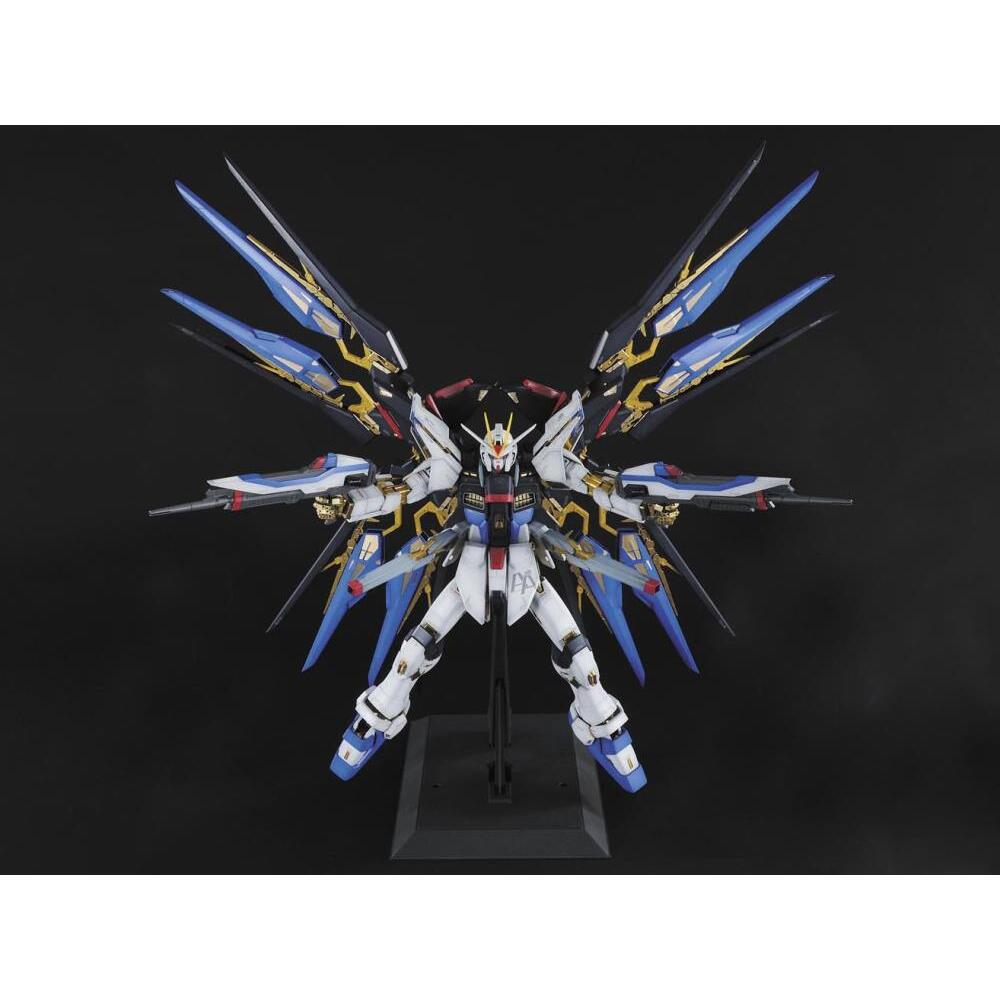 ZGMF-X20A Strike Freedom Mobile Suit Gundam SEED Destiny PG 160 Scale Model Kit (10)