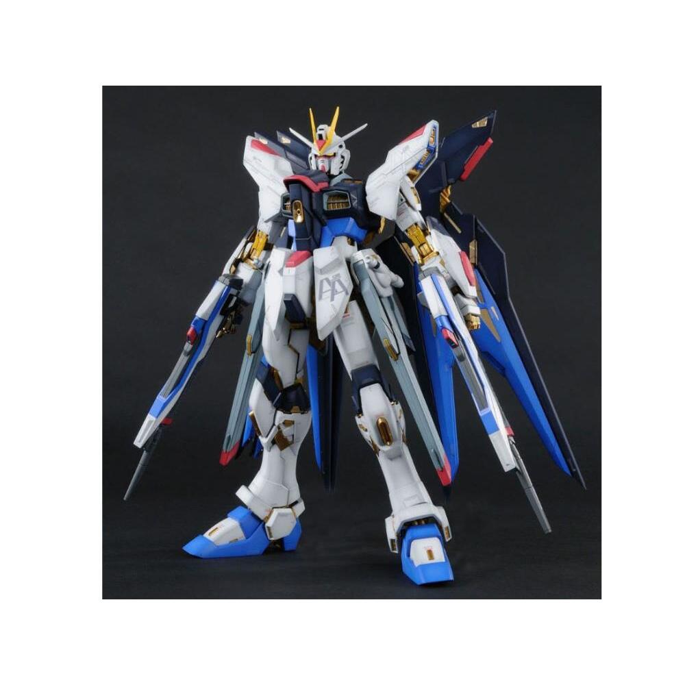 ZGMF-X20A Strike Freedom Mobile Suit Gundam SEED Destiny PG 160 Scale Model Kit (3)