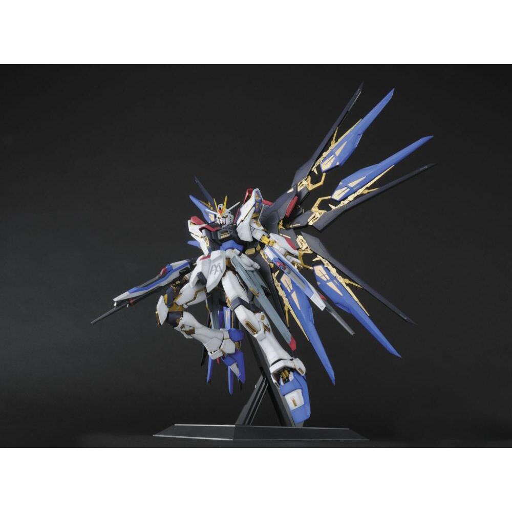 ZGMF-X20A Strike Freedom Mobile Suit Gundam SEED Destiny PG 160 Scale Model Kit (4)