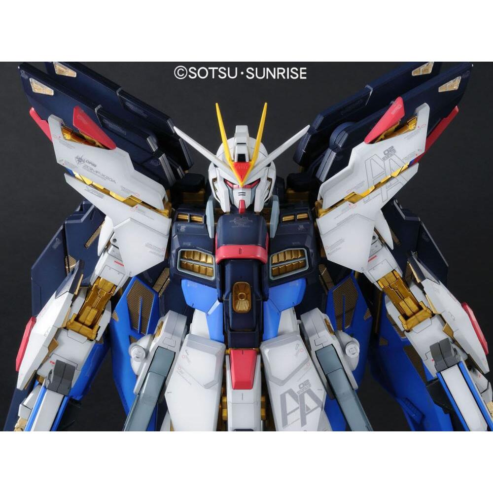 ZGMF-X20A Strike Freedom Mobile Suit Gundam SEED Destiny PG 160 Scale Model Kit (5)