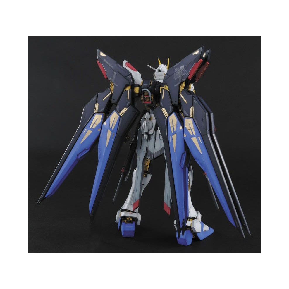ZGMF-X20A Strike Freedom Mobile Suit Gundam SEED Destiny PG 160 Scale Model Kit (7)