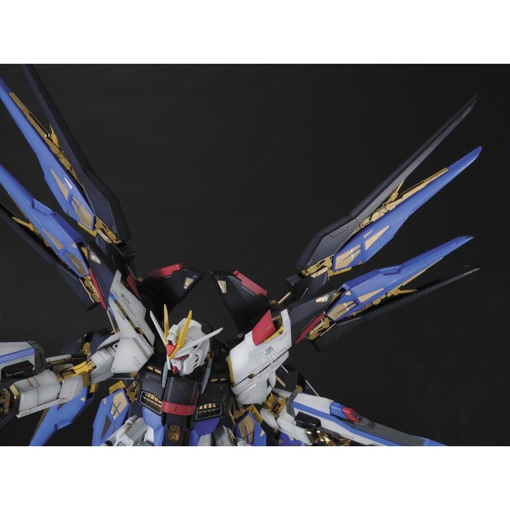 ZGMF-X20A Strike Freedom Mobile Suit Gundam SEED Destiny PG 160 Scale Model Kit (8)