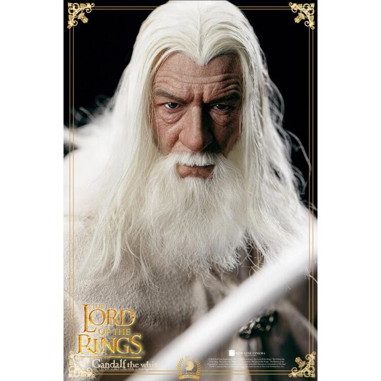 Gandolf the White & Shadowfax The Lord of the Rings 16 Scale Figure (10)