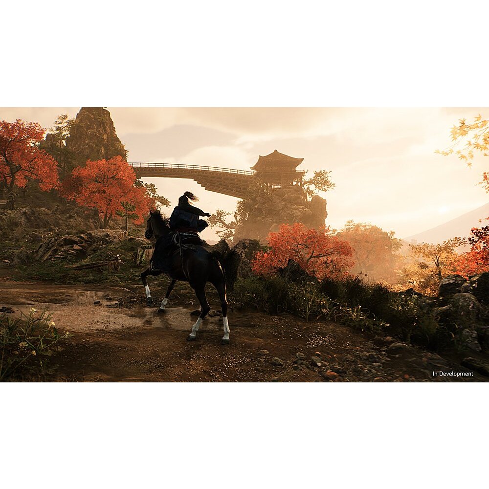 Rise of the Ronin - PlayStation 5 : Video Games