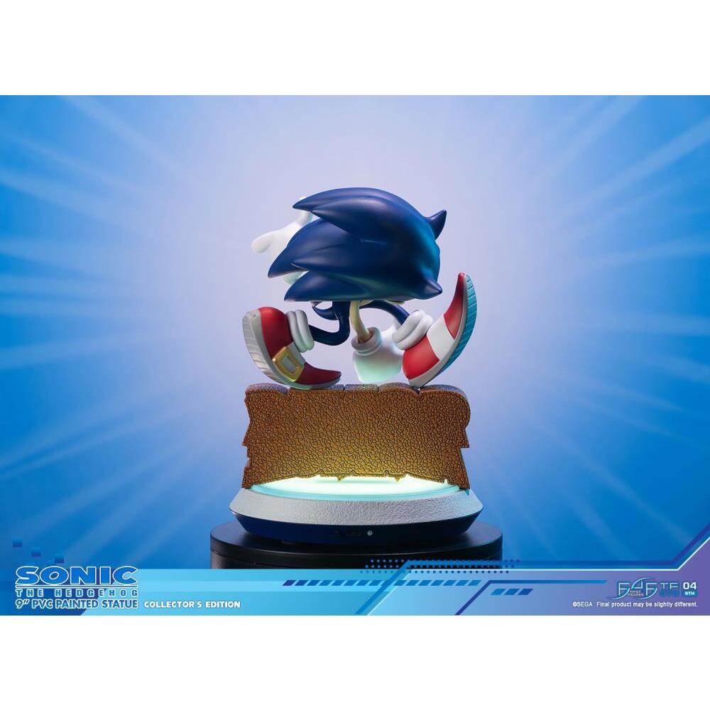 Sonic Adventure First 4 Figures (Collectors Edition) PVC Statue (11)
