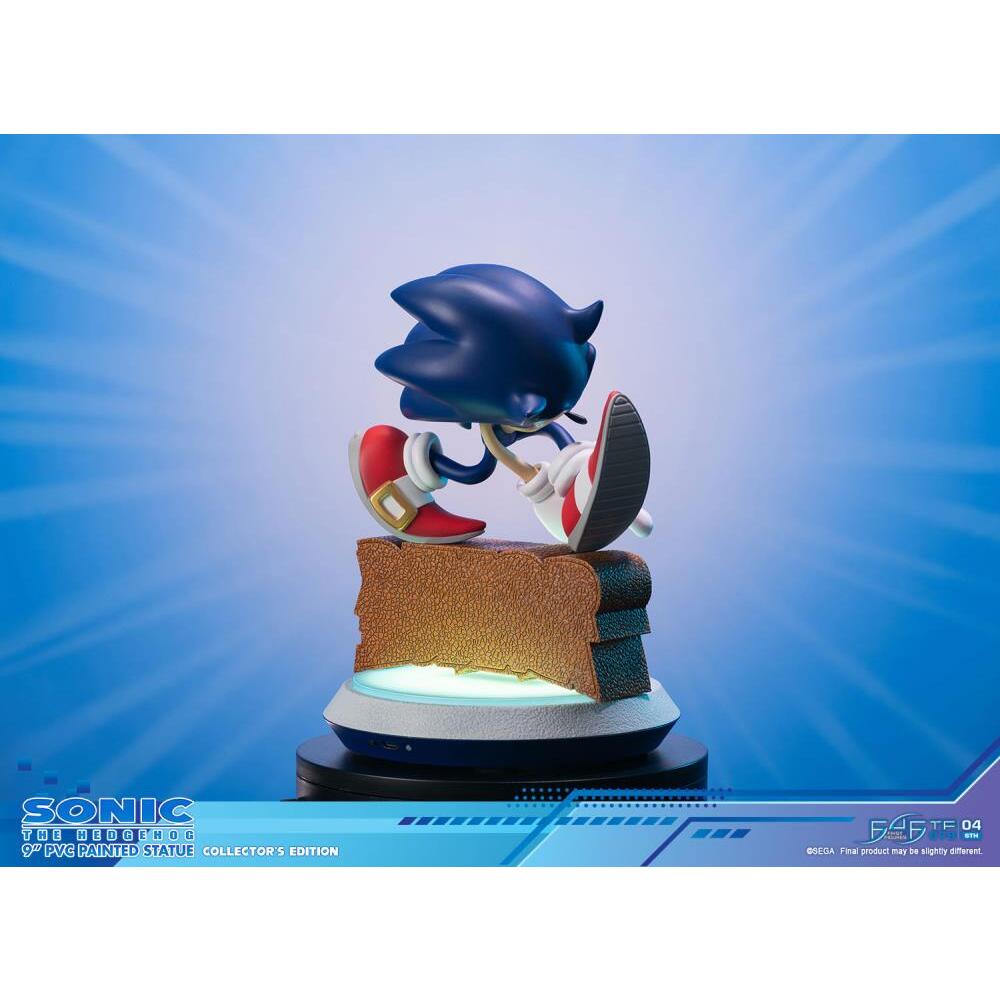 Sonic Adventure First 4 Figures (Collectors Edition) PVC Statue (13)
