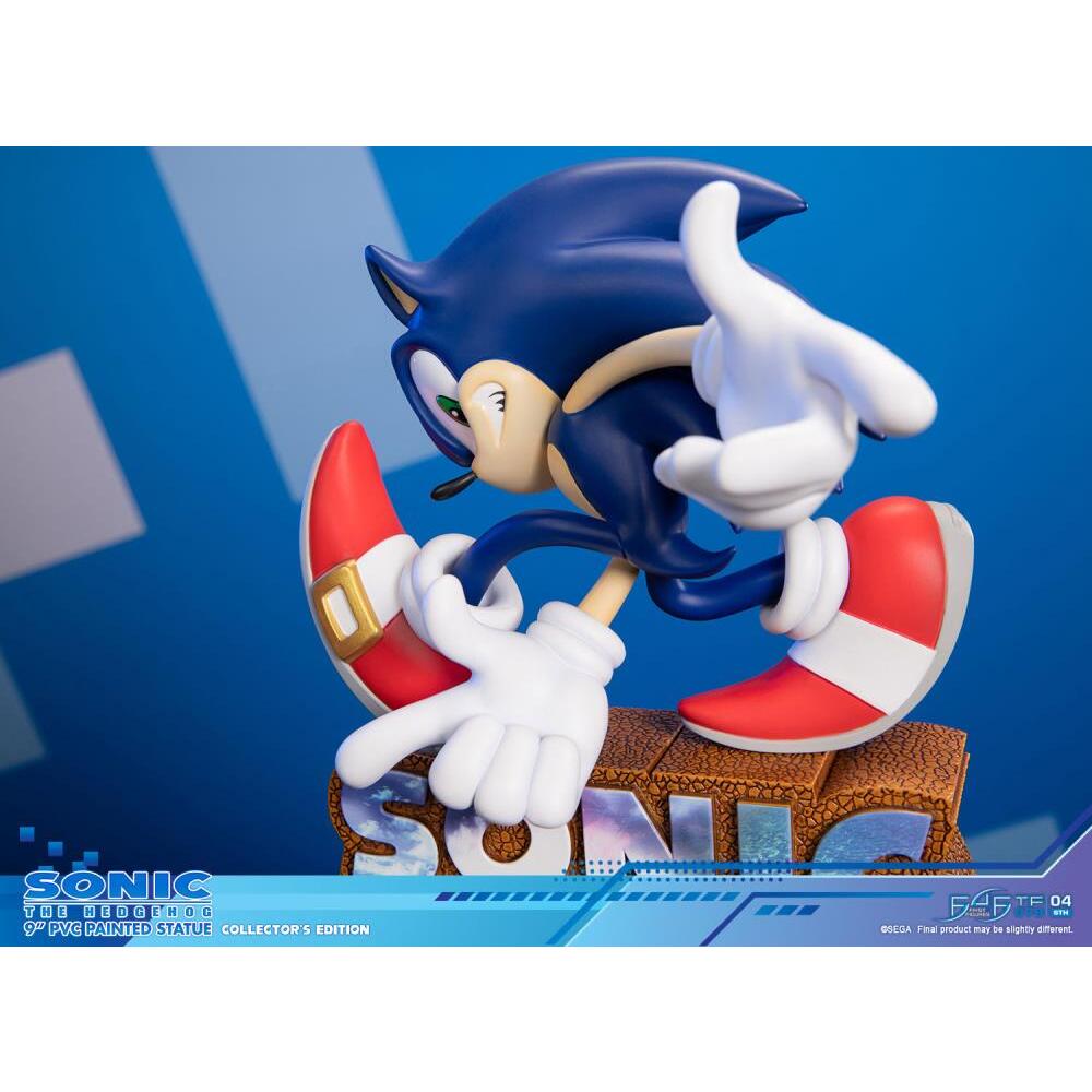 Sonic Adventure First 4 Figures (Collectors Edition) PVC Statue (17)