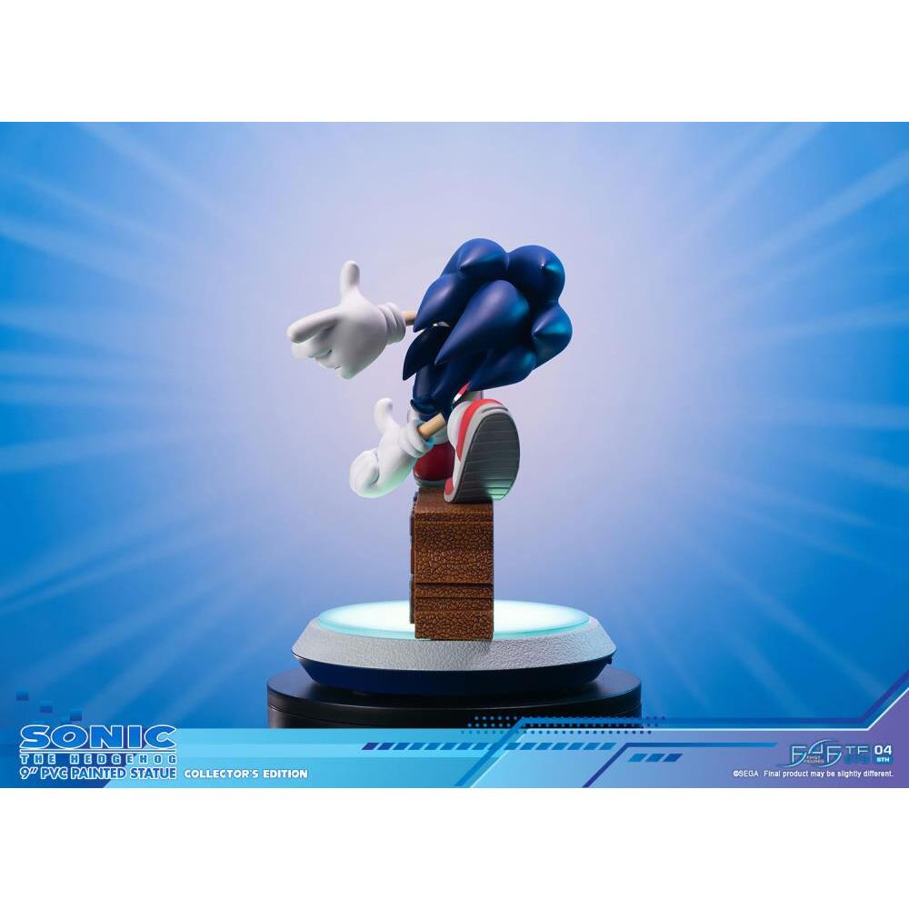 Sonic Adventure First 4 Figures (Collectors Edition) PVC Statue (18)