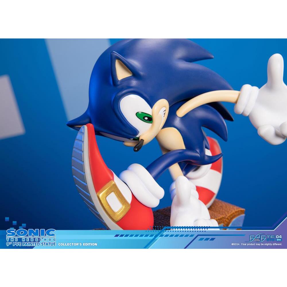 Sonic Adventure First 4 Figures (Collectors Edition) PVC Statue (22)