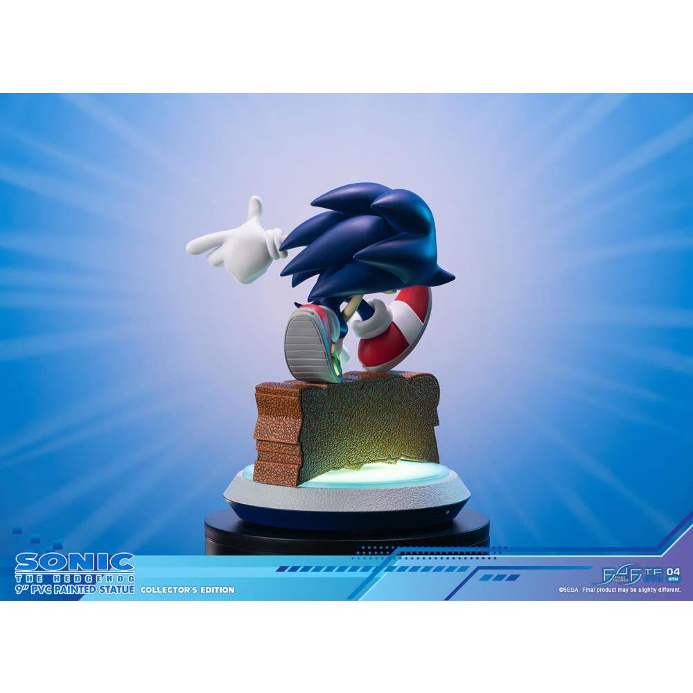 Sonic Adventure First 4 Figures (Collectors Edition) PVC Statue (23)