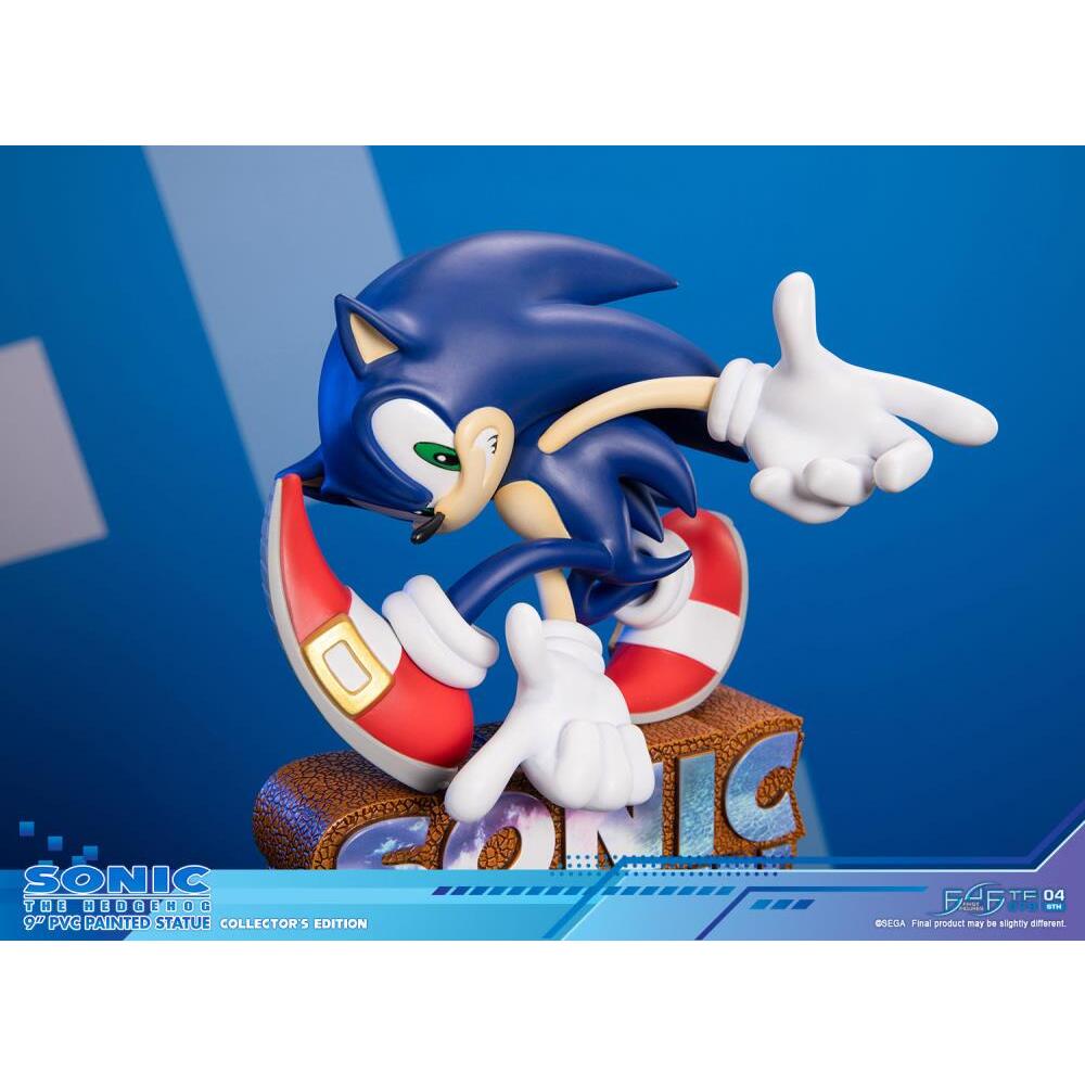 Sonic Adventure First 4 Figures (Collectors Edition) PVC Statue (8)