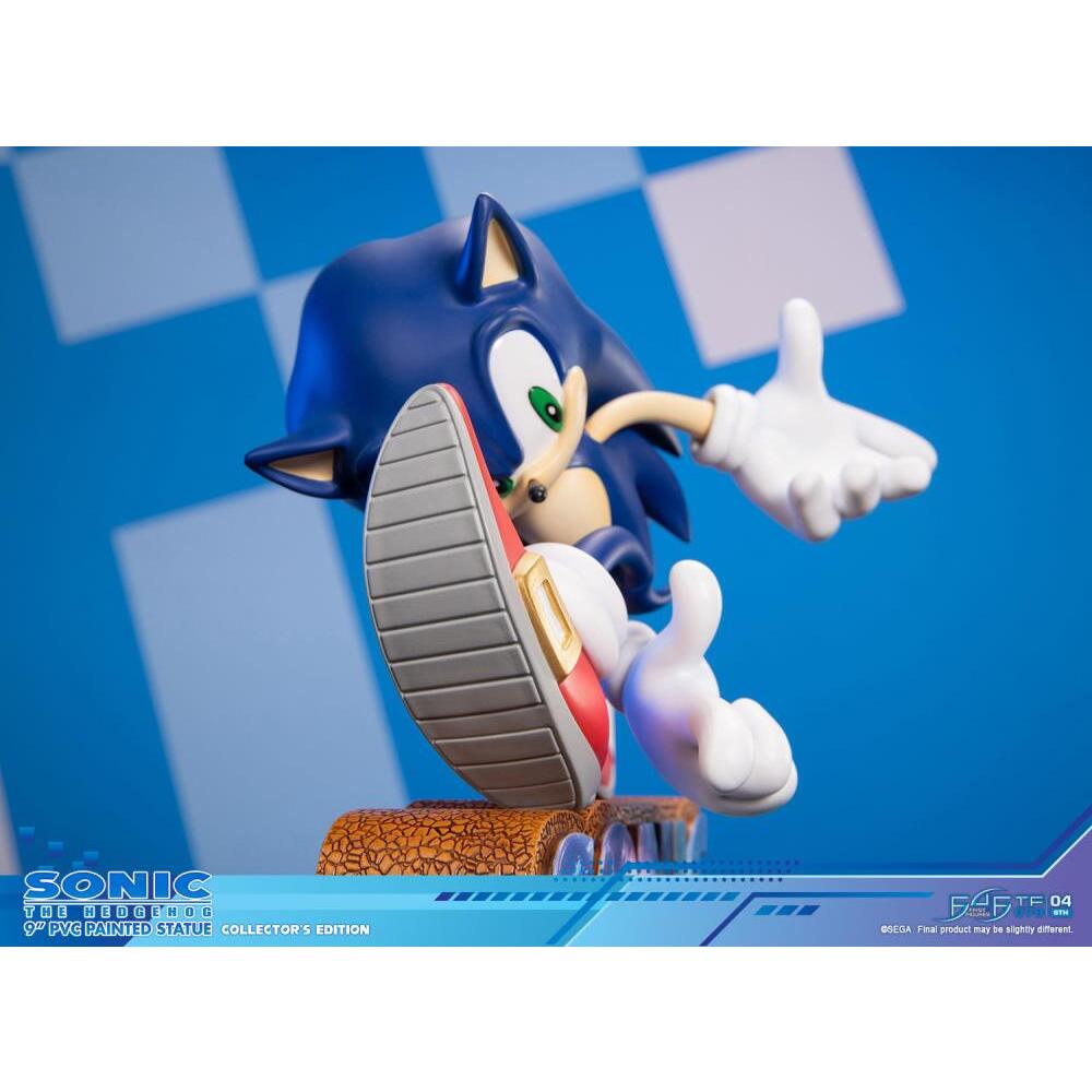 Sonic Adventure First 4 Figures (Collectors Edition) PVC Statue (9)