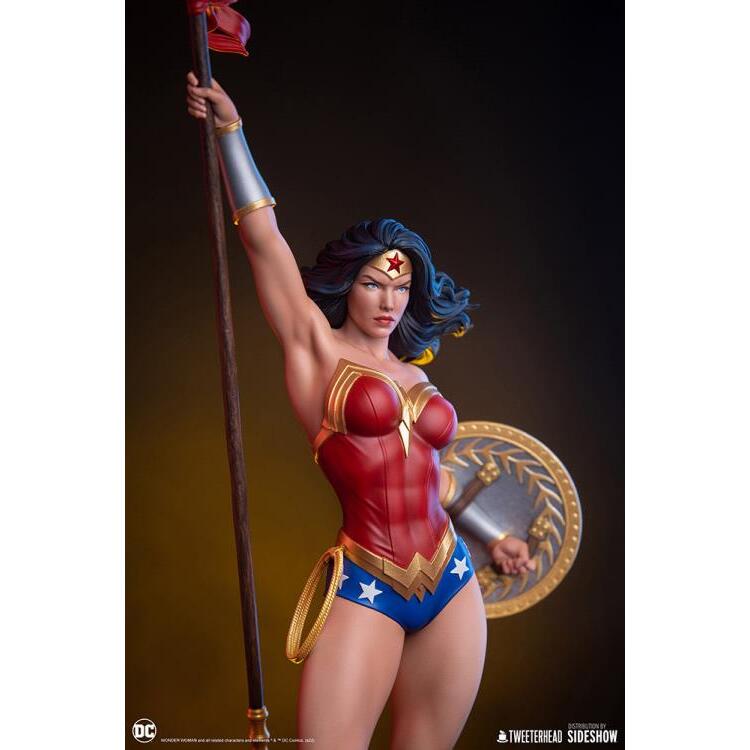 Wonder Woman DC Comics Limited Edition 16 Scale Maquette Figure (17)