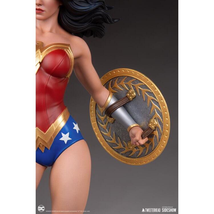 Wonder Woman DC Comics Limited Edition 16 Scale Maquette Figure (18)