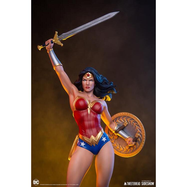 Wonder Woman DC Comics Limited Edition 16 Scale Maquette Figure (20)