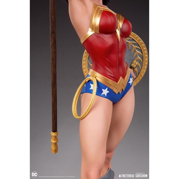 Wonder Woman DC Comics Limited Edition 16 Scale Maquette Figure (21)