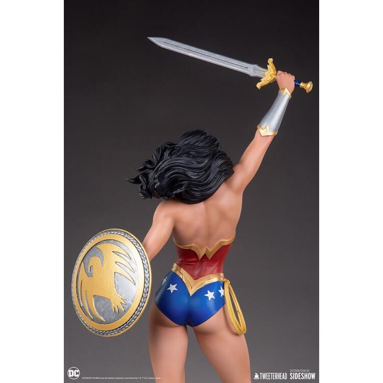 Wonder Woman DC Comics Limited Edition 16 Scale Maquette Figure (4)