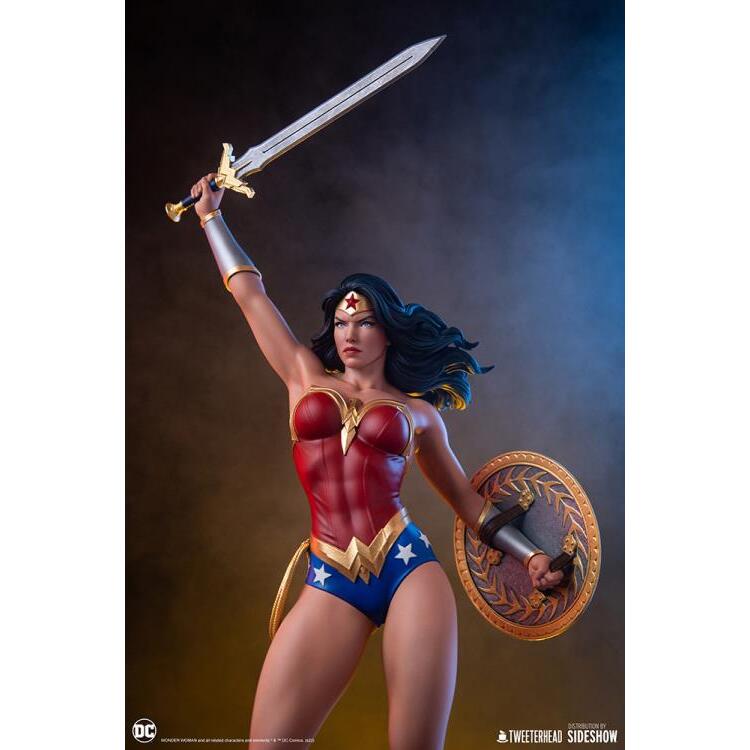 Wonder Woman DC Comics Limited Edition 16 Scale Maquette Figure (8)