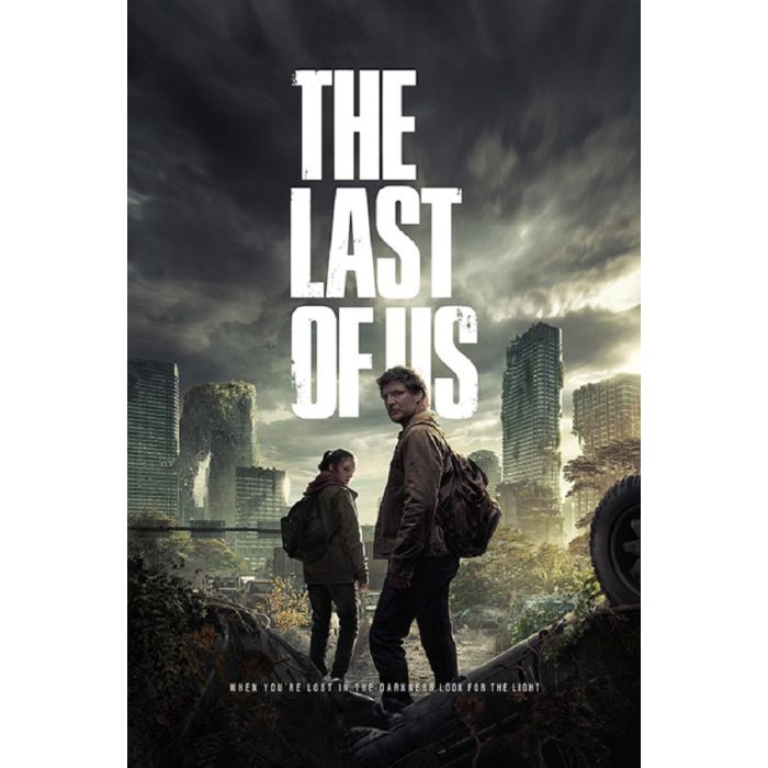Last of Us Main Design Poster