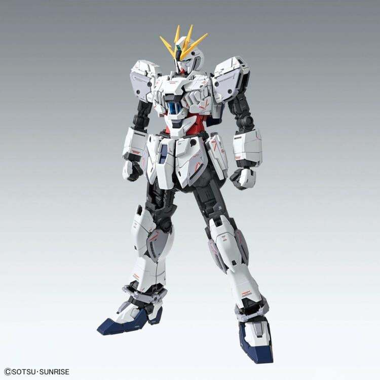 Narrative Gundam C-Packs (Ver. Ka) Mobile Suit Gundam Narrative MG 1100 Scale Model Kit (3)