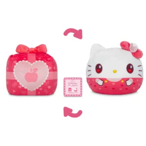 Hello Kitty Valentine’s Present